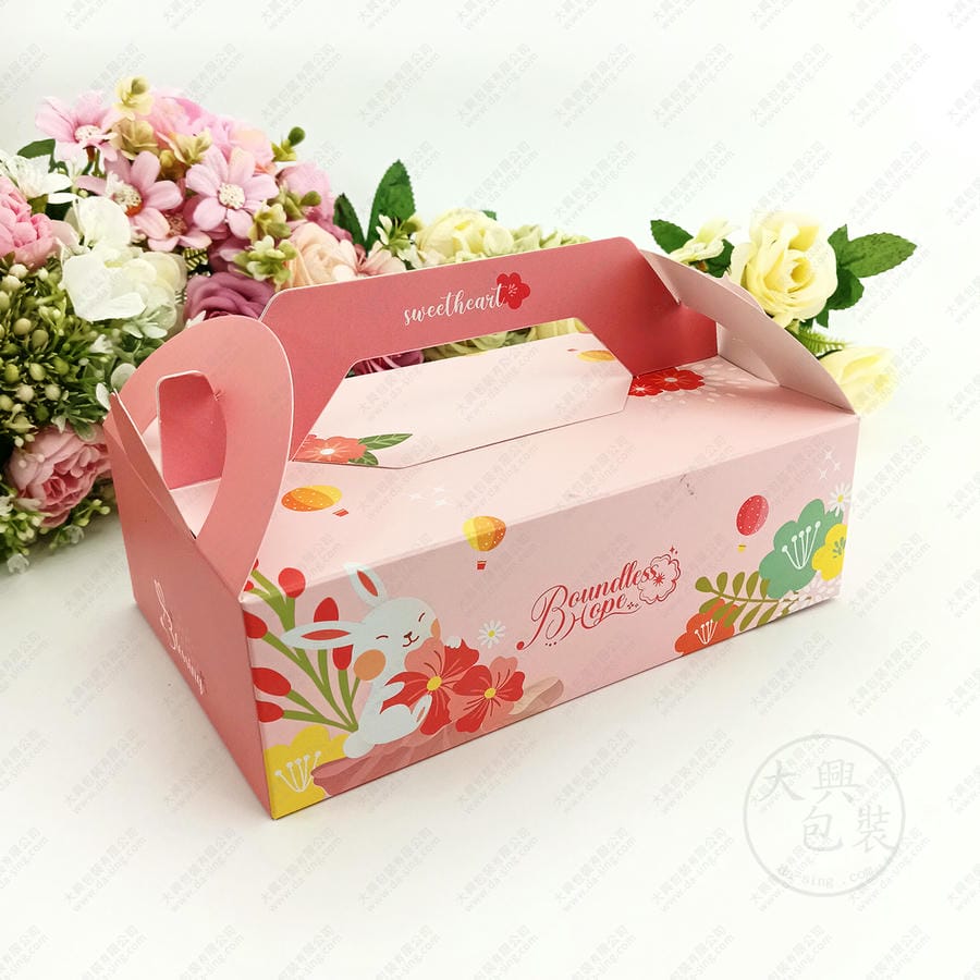 朵菈6入手提提盒實品
