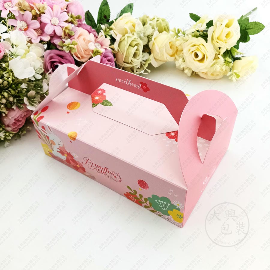 朵菈6入手提提盒實品